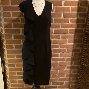 Yolanda Arce Sleeveless Dress Size 6